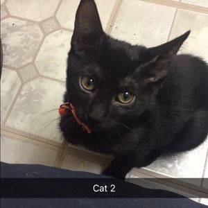 Meet your Posher, Becca